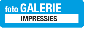 Galerie Headline