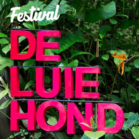 FESTIVAL DE LUIE HOND