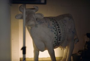 Wijvenkraam290522_ValerieSpanjersweb085JPG